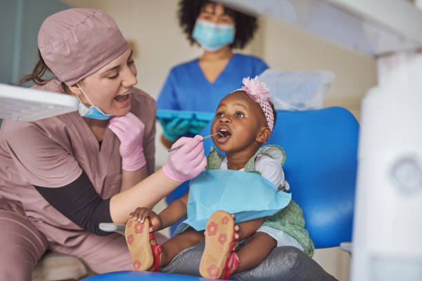 Best Dental Exams and Cleanings  in St Peter, WI